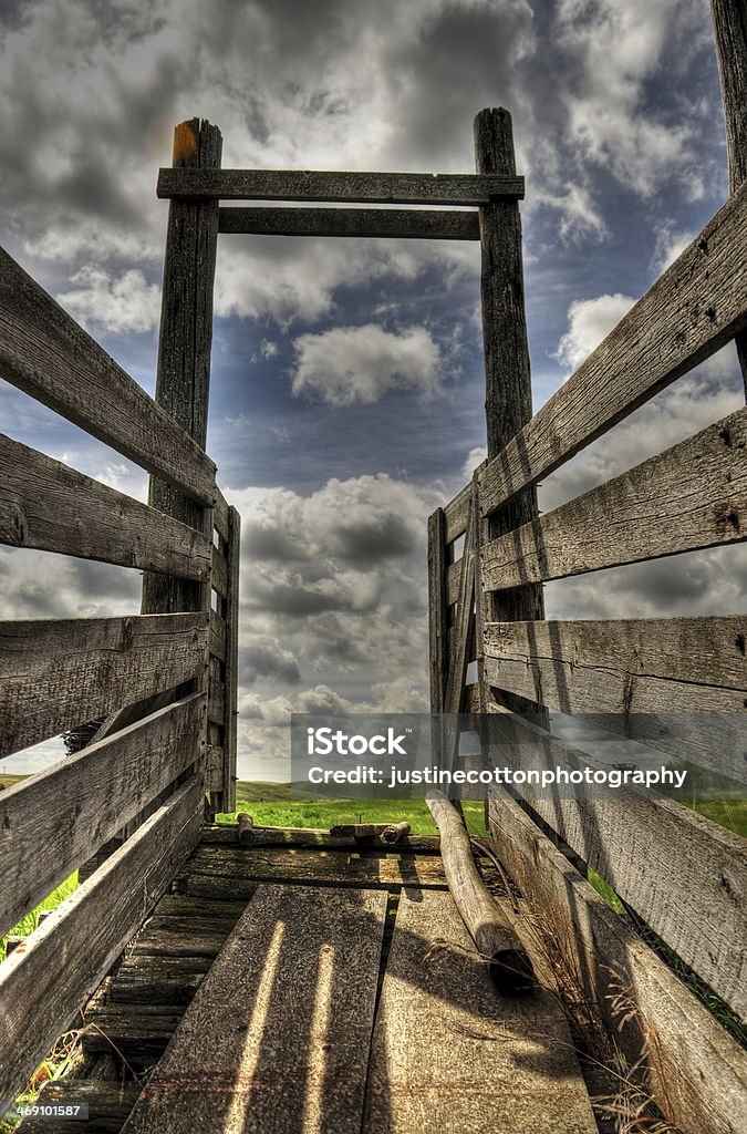Old Western Cattle Shoot ramp Agriculture Stock Photo