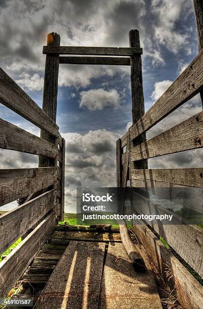 Old Western Cattle Shoot Ramp Stock Photo - Download Image Now - Agriculture, Alberta, Animal