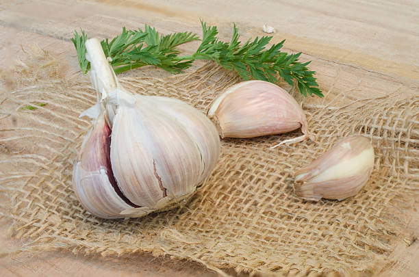 istock Garlic and parsley leaves on canvas isolated 469106128