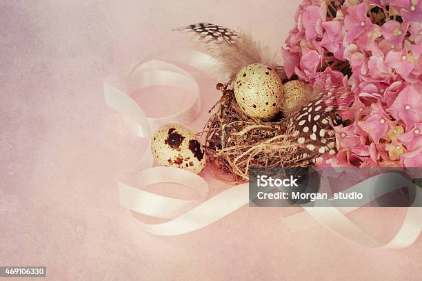 Hydrangea Flowers Stock Photo - Download Image Now - 2015, Animal Nest, Anniversary