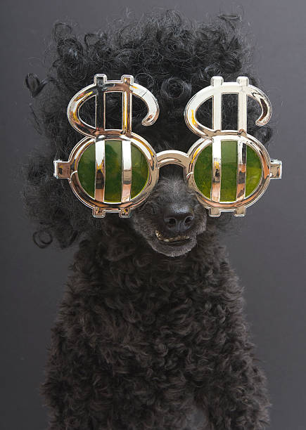 istock Big Hair and Dollar Signs 469109279