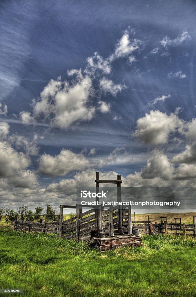 Old Western Cattle Shoot ramp Agriculture Stock Photo