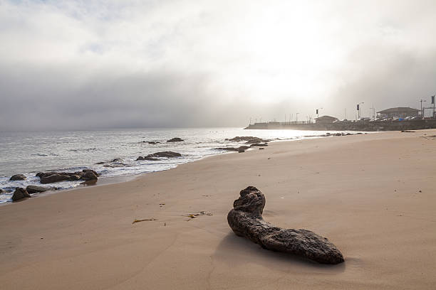 Monterey Bay Sunrise the sunrise in monterey bay california monterey bay stock pictures, royalty-free photos & images