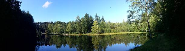 istock Pond of the Goulette 469118320