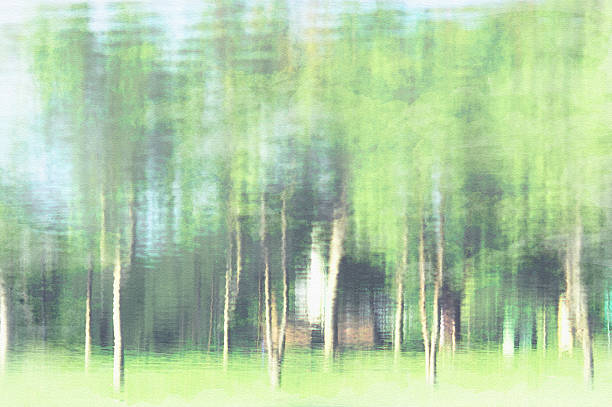 istock Abstract background with bokeh defocused lights and shadow. 469120626