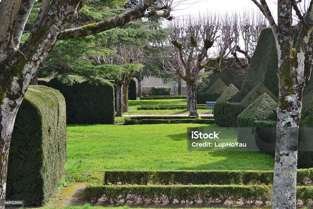 Formal Public French garden in PONS, SW France An example of a formal French garden in Pons, the South West of France, just north of Bordeaux.  Example of topiary and formal structure of the garden in early Spring time.  Various shades of green, from dark through to light. 2015 Stock Photo