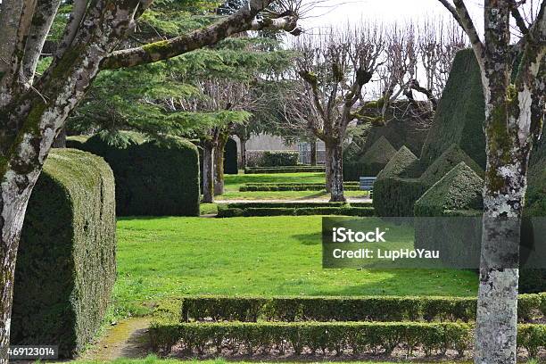Formal Public French Garden In Pons Sw France Stock Photo - Download Image Now - 2015, Bush, Formal Garden