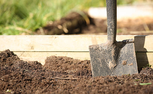 istock Spring scene spade in an allotment raised bed 469124206