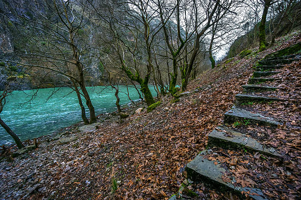 Riverside from Aoos river in wintertime with fallen planetree leafs and an old stone staircase