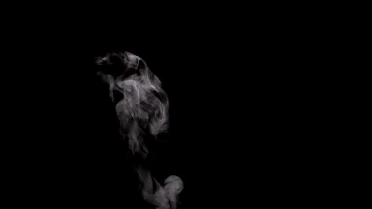 Free Smoke Stock Video Footage 20314 Downloads Free Smoke Stock Video Footage 20314 Downloads