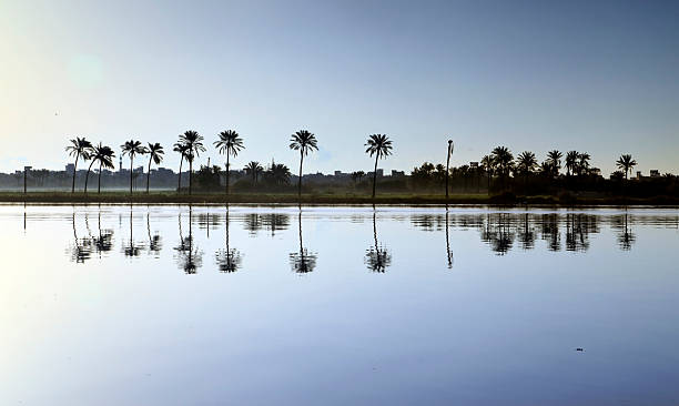 istock Beautiful nature in morning - Egypt. 469125988