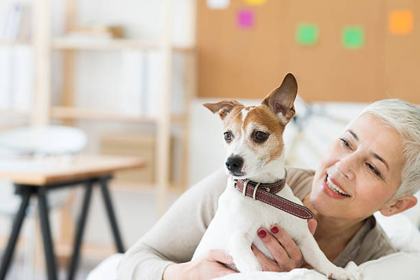 istock Mature woman holding dog while smiling 469128504