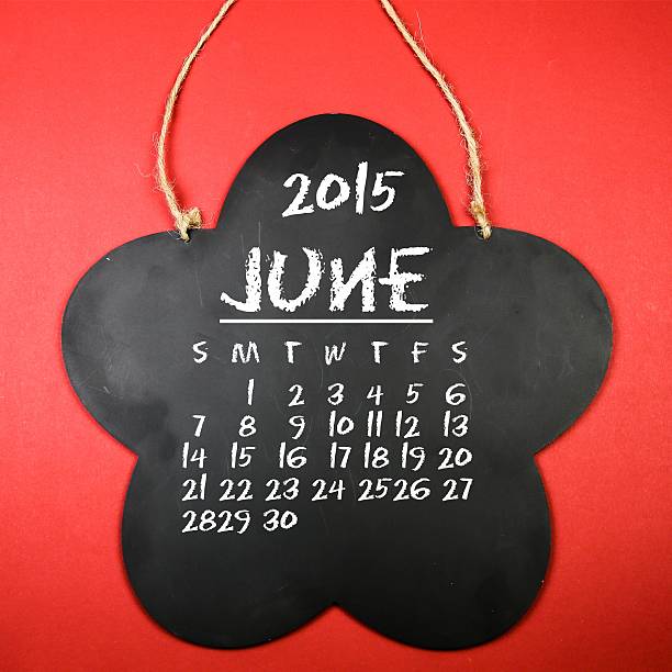 2015 r. - 2013 2014 personal organizer calendar zdjęcia i obrazy z banku zdjęć