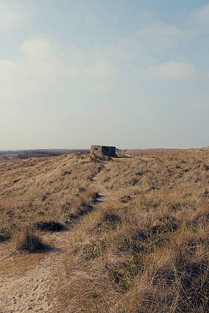 istock Old lookout on sand dunes in Horsey, UK 469130824