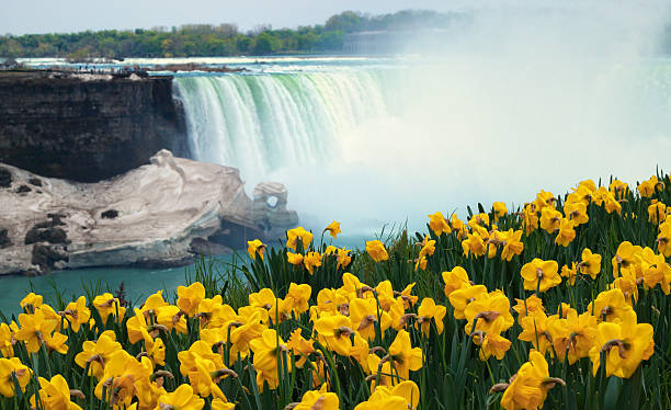 Niagara Falls Spring Flowers and Melting Ice