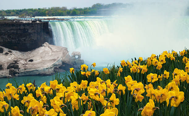 Niagara Falls Spring Flowers and Melting Ice stock photo