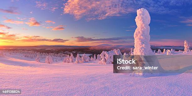 Sunset Over Frozen Trees On A Mountain Levi Finnish Lapland Stock Photo - Download Image Now
