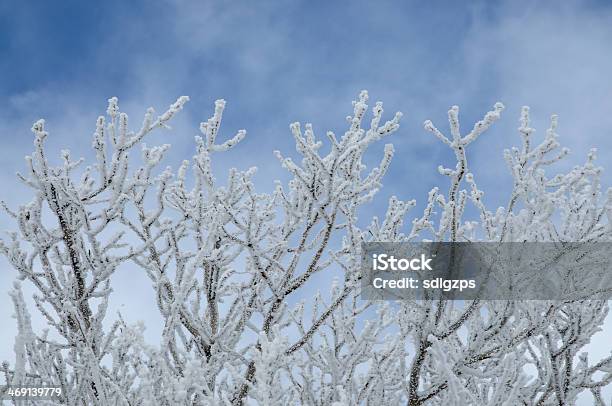 Taishan W Śniegu - zdjęcia stockowe i więcej obrazów Bez ludzi - Bez ludzi, Biały, Burza