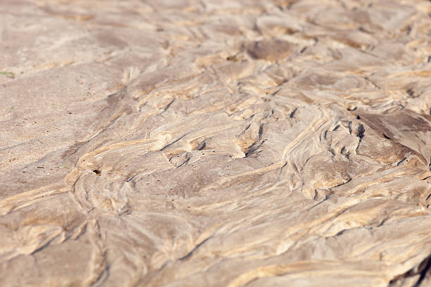 istock Sand surface with the relief formed by water currents 469142154