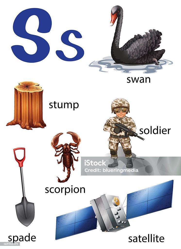Cose Che Iniziano Con La Lettera S - Immagini vettoriali ...