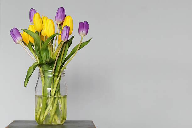 istock Bouquet of tulips 469142984