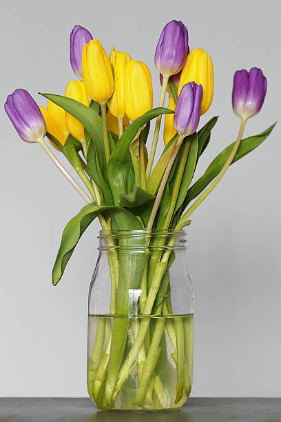 istock Bouquet of tulips 469142998