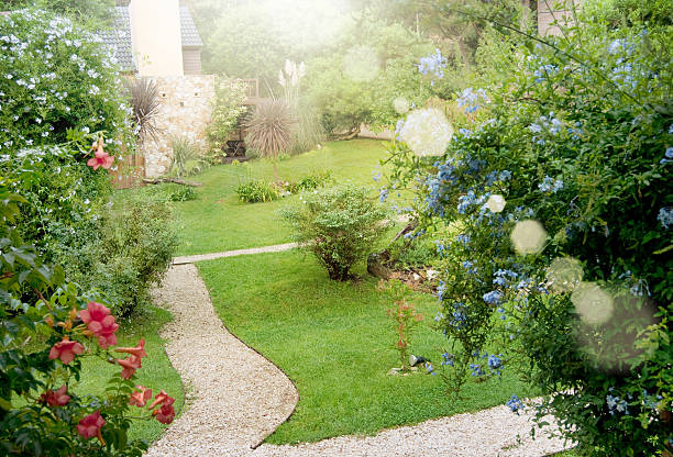 istock flower garden background 469143952