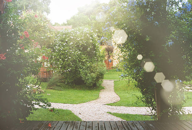 istock flower garden background 469143954