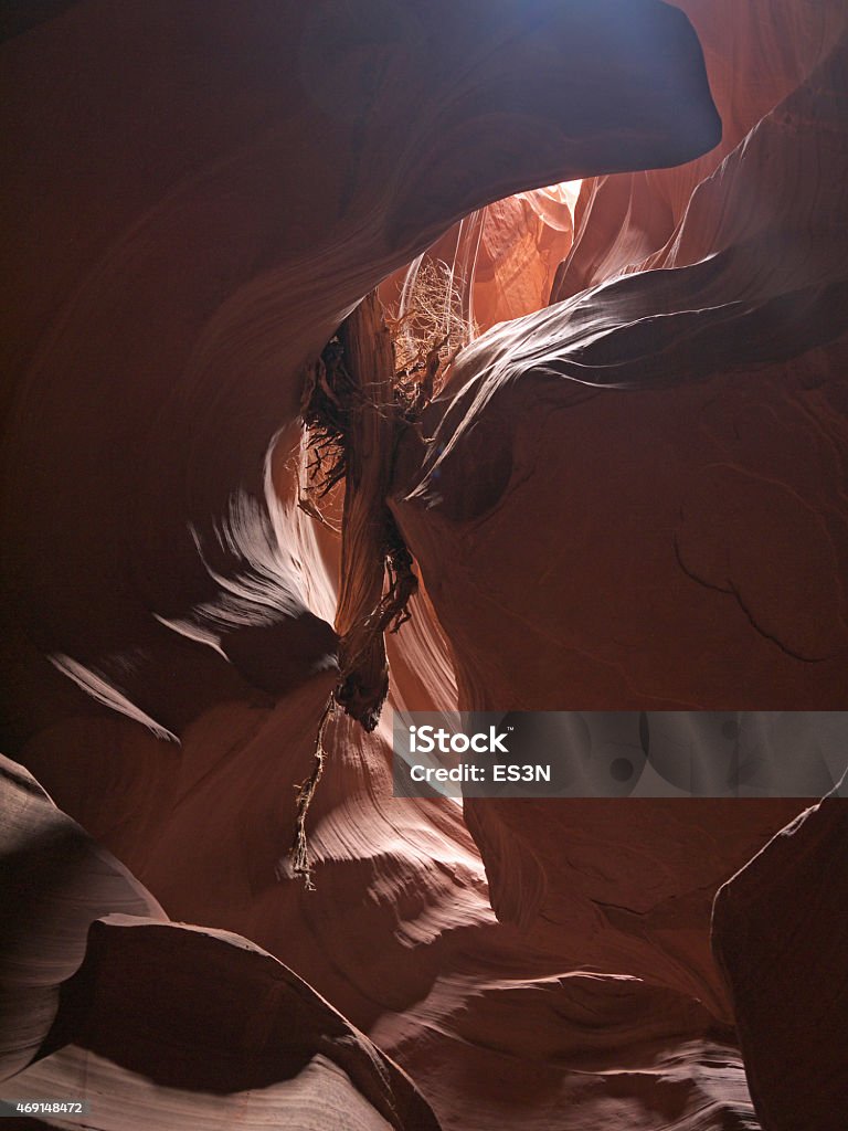 Antelope Canyon Lookin up to the stucked log in Antelope canyon 2015 Stock Photo