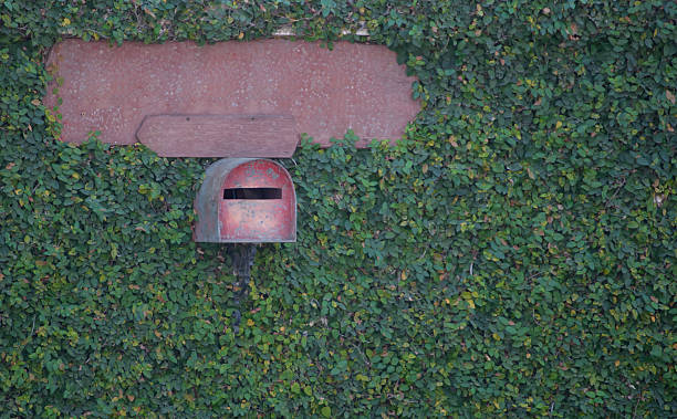 istock red mail box and label On Green wall with leaves 469148973