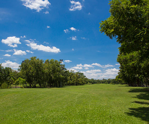 istock Garden with the sky. 469150474