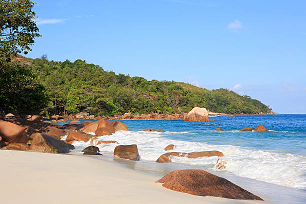 istock Beautiful beach Anse Lazio 469151054