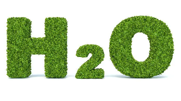 H2O - water chemical symbol - in grass 3d made