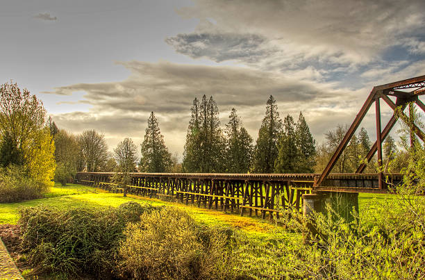 istock Trestle train bridge with stormy sky 469151434