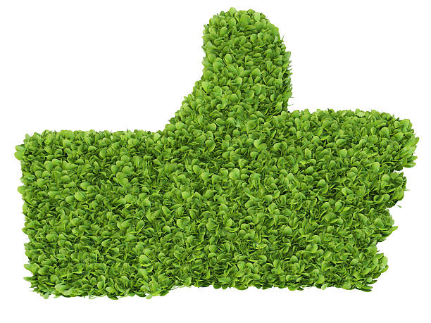 istock Like symbol grass isolated on white background 469151464