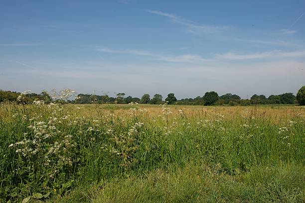istock MH_landscapes039 469151603