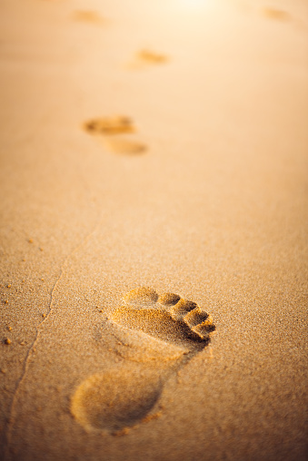 Close-up of footprints in wet beach sand.