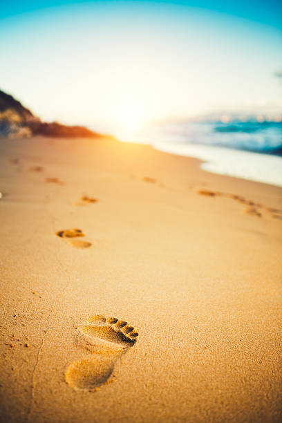 Footprints in the sand at sunset.