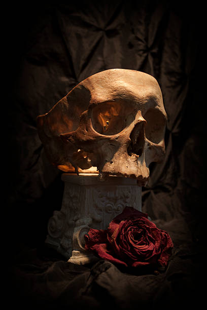 istock Human skull sitting atop ornate base with rose bud 469154016