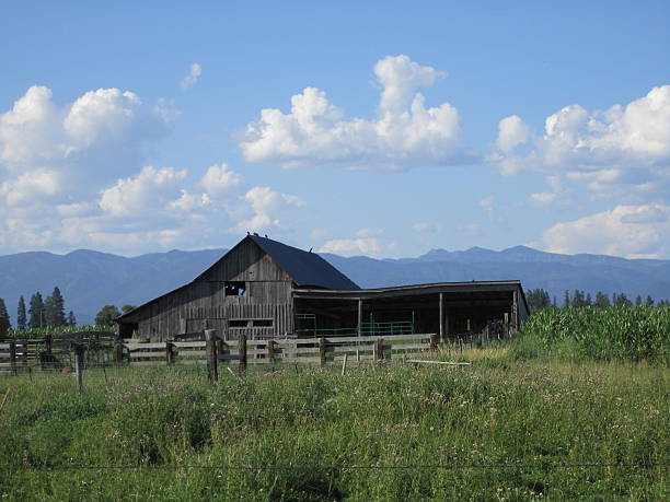 istock Rural Barn in Montanna 469155602