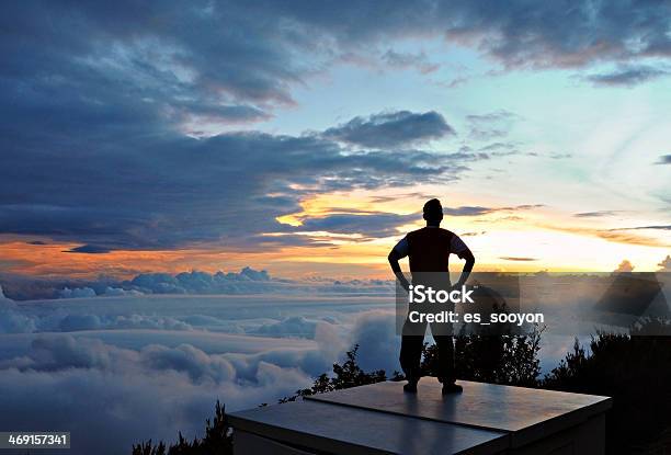 I Am Brave Stock Photo - Download Image Now - Forecasting, Horizon, Looking At View
