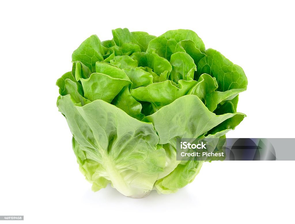 A head of green butter lettuce isolated on white background Lettuce isolated on white background. Lettuce Stock Photo