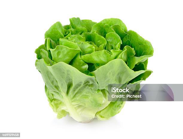 A Head Of Green Butter Lettuce Isolated On White Background Stock Photo - Download Image Now