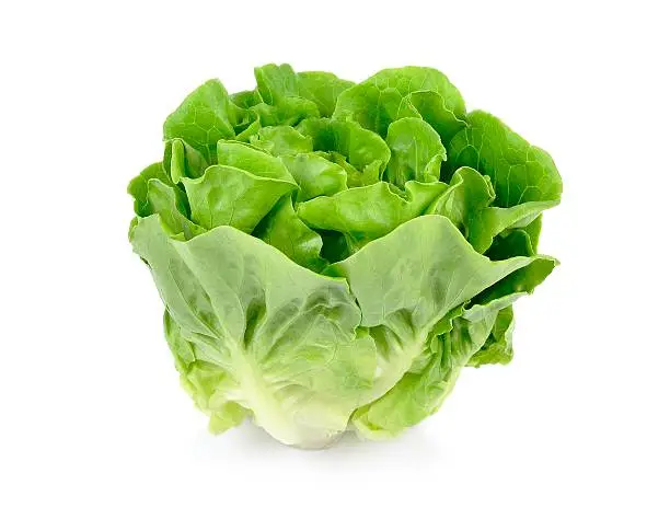 Photo of A head of green butter lettuce isolated on white background