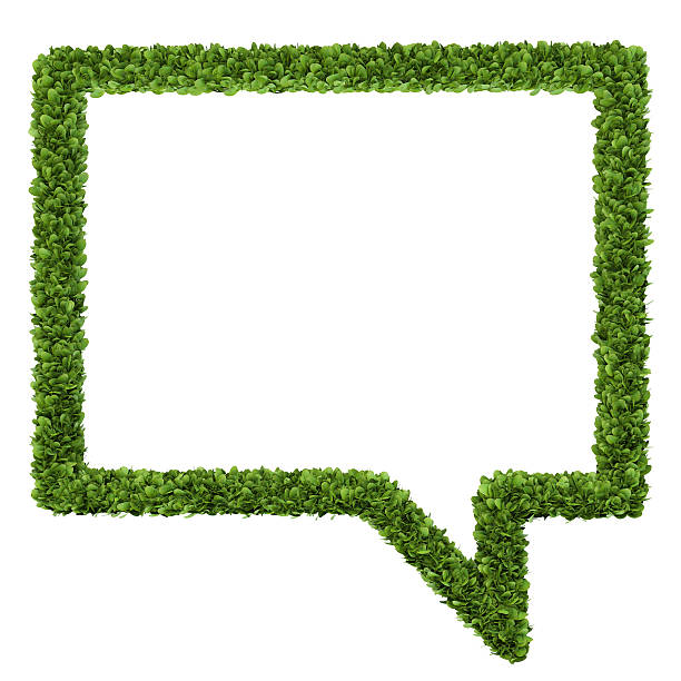 istock natural leaf attention symbol with white background 469160314