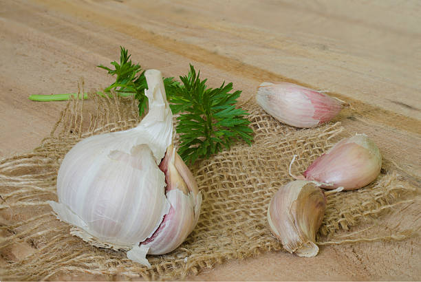 istock Garlic and parsley leaves on canvas 469163680