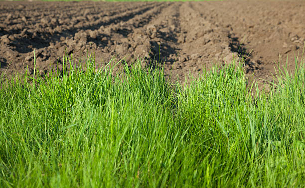 istock Closeup of plowed farm field 469167929