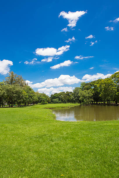 istock Garden with the sky. 469168098