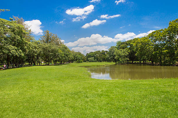 istock Garden with the sky. 469168104