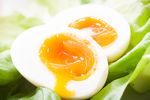 Tasty soft boiled egg cut in half on fresh green lettuce leaf with yolk pouring down. Close up